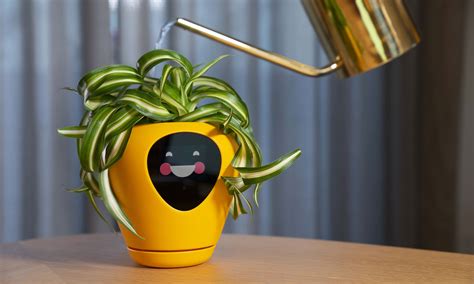 Smart pots - Roots will stay cooler since the fabric is porous. Heat builds up in containers, especially in the hotter summer months. The smart pot solves this by allowing your plants to breathe. The most natural way for plants to grow is in the ground. The ground keeps the roots of your plants cooler naturally. But when you …
